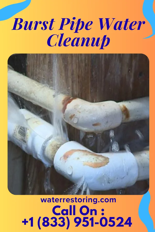 Burst Pipe Water Cleanup in Edgemoor, DE