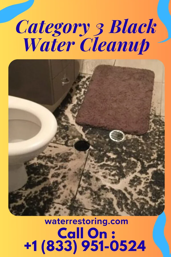 Category 3 Black Water Cleanup in Edgemoor, DE