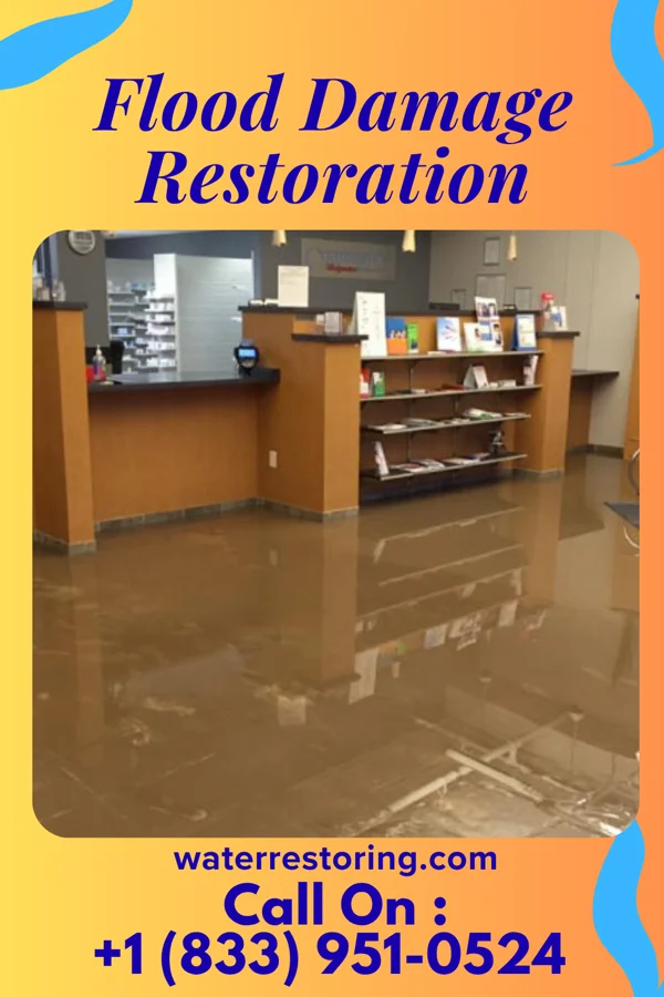 Flood Damage Restoration in Edgemoor, DE