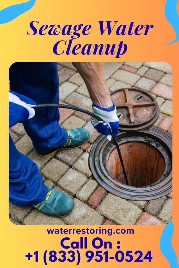 Sewage Water Cleanup in Edgemoor, DE